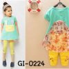 gi0224