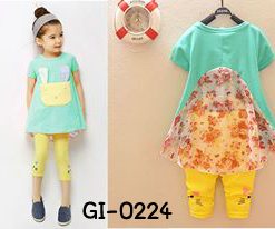 gi0224