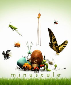 dvd001-3