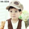 ha0016