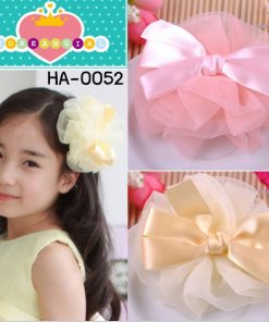 ha0052