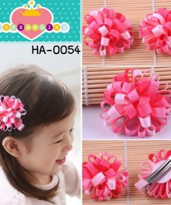 ha0054