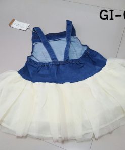 GI-0681-B1