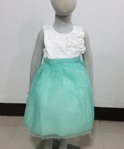 GI-0689-B