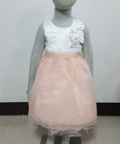 GI-0690-B1