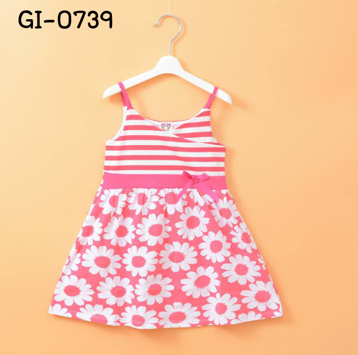 GI-0739