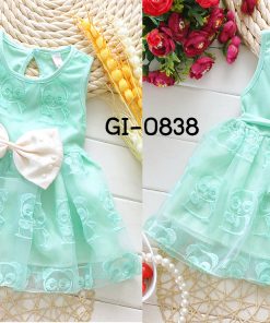 GI-0838-2