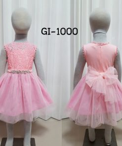 GI-1000-B1