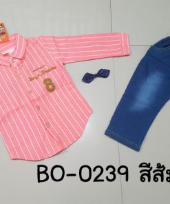 BO-0239-B