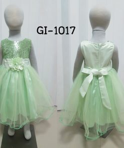 GI-1017-B
