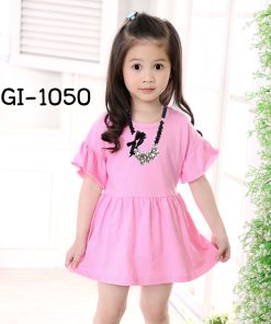 GI-1050-1