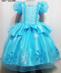 GI-1058-1