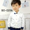 BO-0256-179