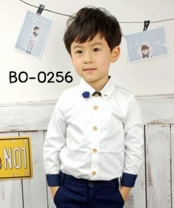 BO-0256-179