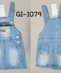 GI-1079-B
