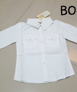 BO-0263-B