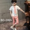BO-0324-1