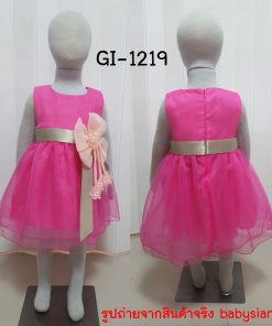 GI-1219-B