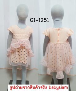 GI-1251-B