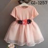 GI-1257