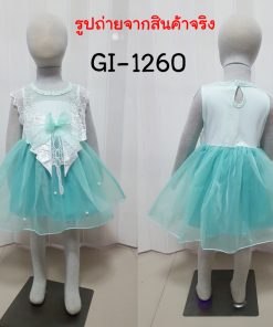 GI-1260-B