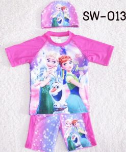 SW-0134-1