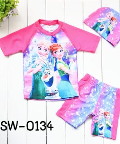 SW-0134