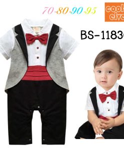 BS-1183C