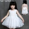 GI-1253-1