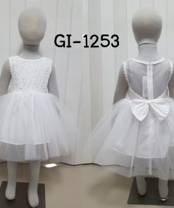 GI-1253-B