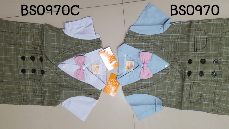 BS0970-C119