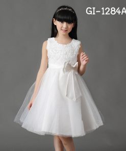 GI-1284A64