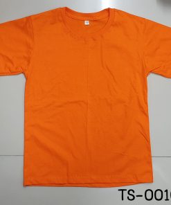 TS001032