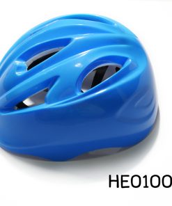 he0100