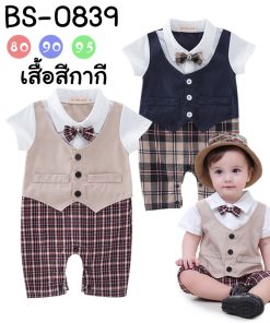 BS-0839N