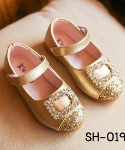 SH-0195