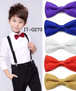 IT-0273-1