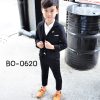 BO-0620