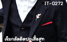 IT-0272-C