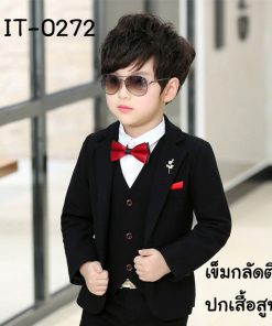 IT-0272C-1