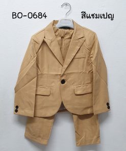 BO-0684T1