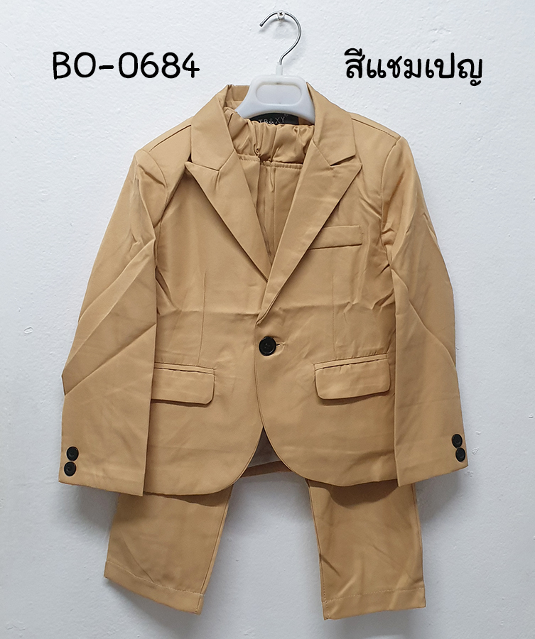 BO-0684T1
