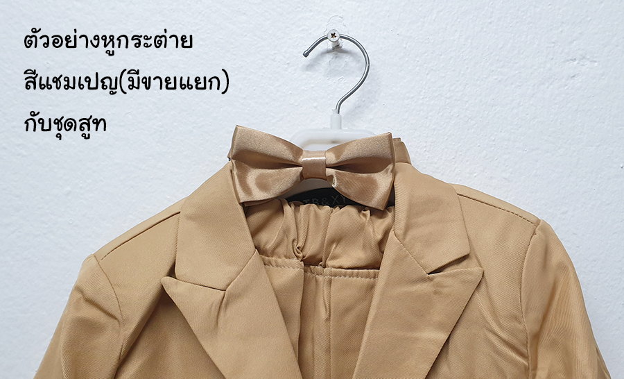 BO-0684T7